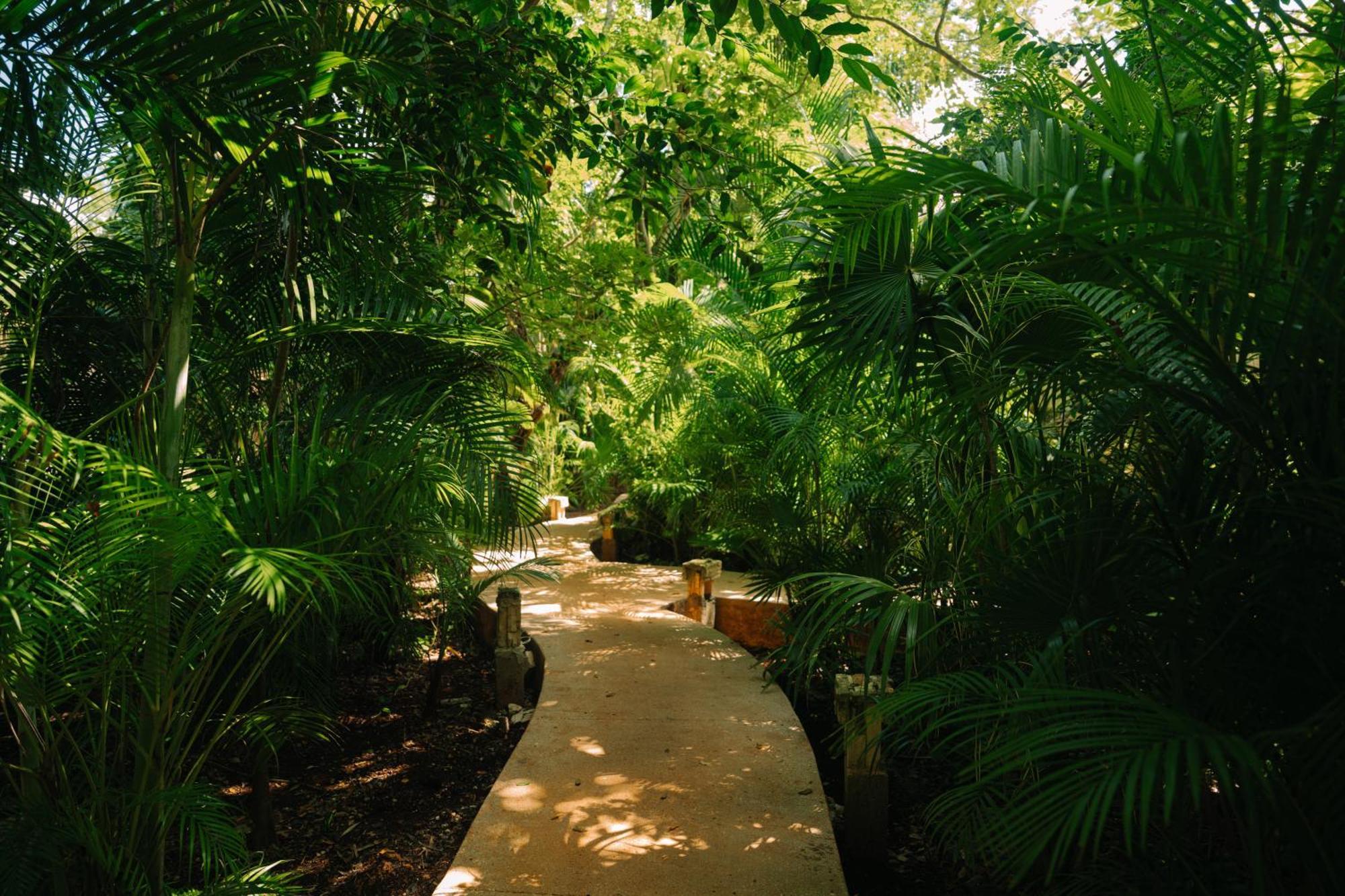 Aldea Coba An Escape Boutique Experience Hotel Buitenkant foto